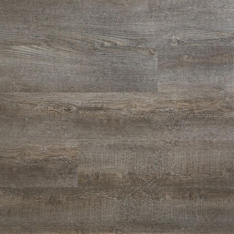 Stockbridge Coriander